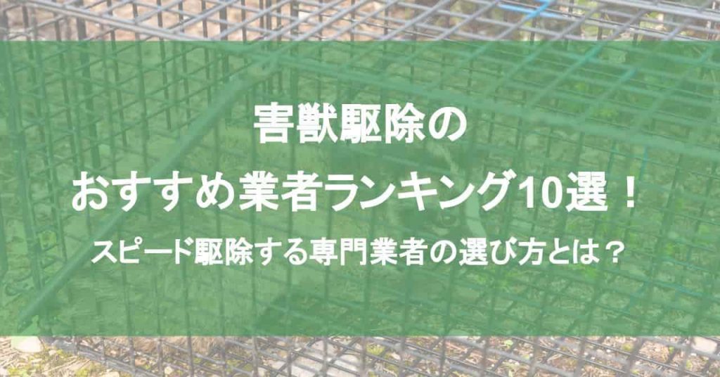 害獣駆除のおすすめ業者ランキング10選！スピード駆除する専門業者の選び方とは？