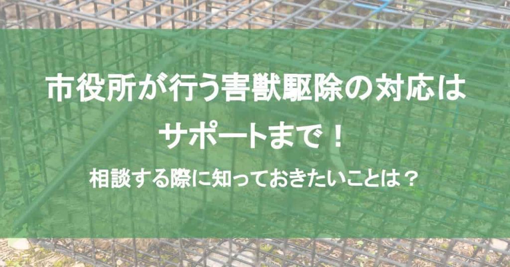 市役所が行う害獣駆除の対応はサポートまで！相談する際に知っておきたいことは？