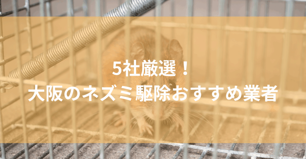 【大阪】ネズミ駆除おすすめ業者5社！低料金で大阪市・堺市・東大阪市に対応する業者は？