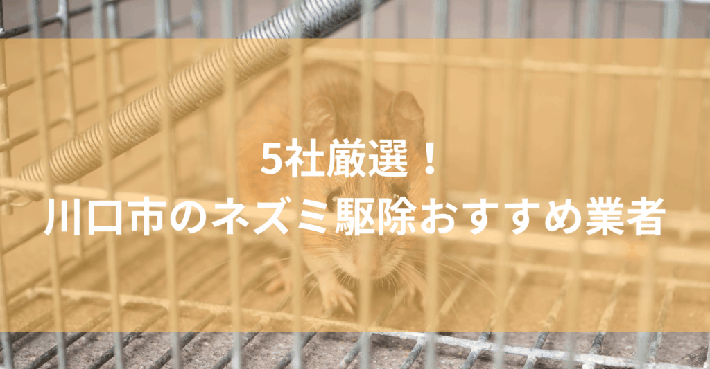 【川口市】ネズミ駆除おすすめ業者5社！低料金で対応する川口市エリアの業者