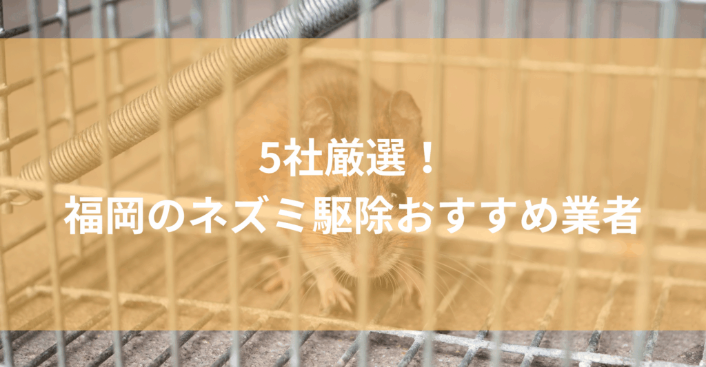 【福岡】ネズミ駆除おすすめ業者5社！低料金で対応する福岡エリアの業者