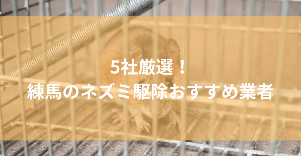 【練馬】ネズミ駆除おすすめ業者5社！低料金で対応する練馬エリアの業者