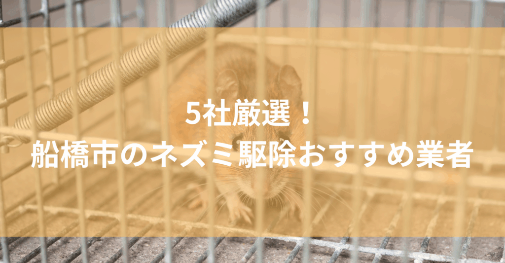 【船橋市】ネズミ駆除おすすめ業者5社！低料金で対応する船橋市エリアの業者